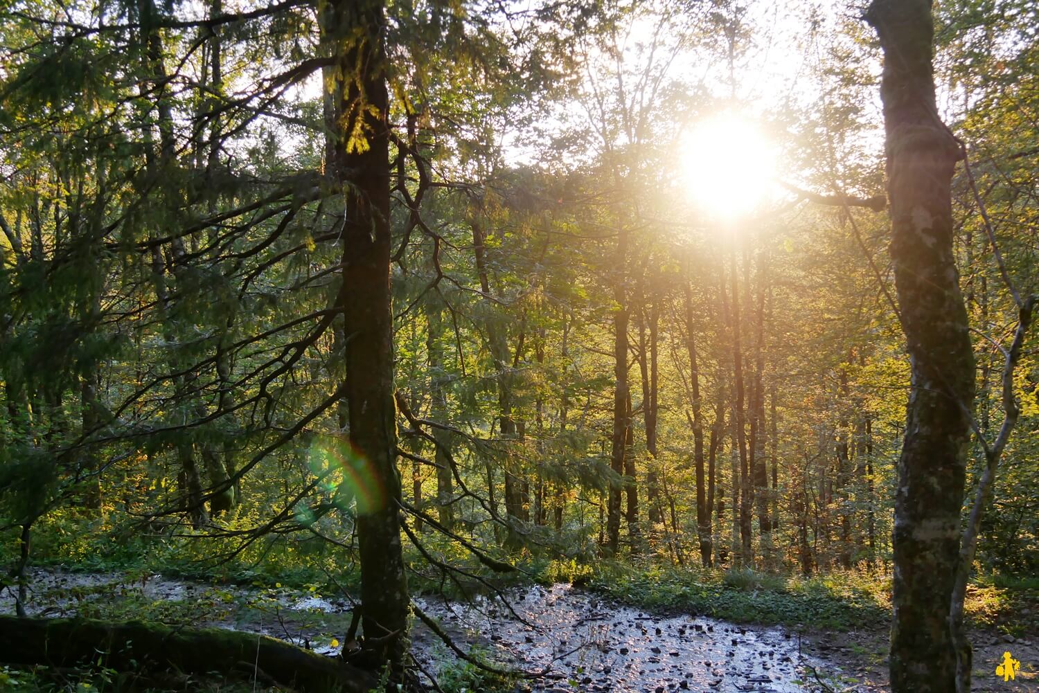 Itinéraire Route des Crêtes 2 jours Vosges en famille