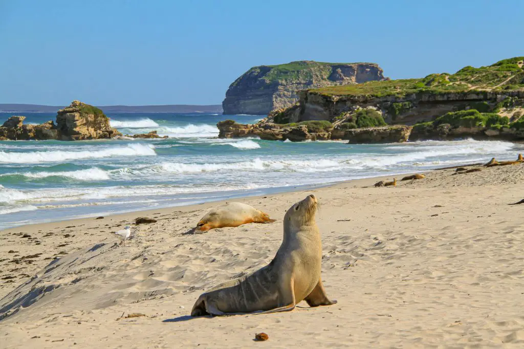 25 destinations où observer des animaux France Etranger