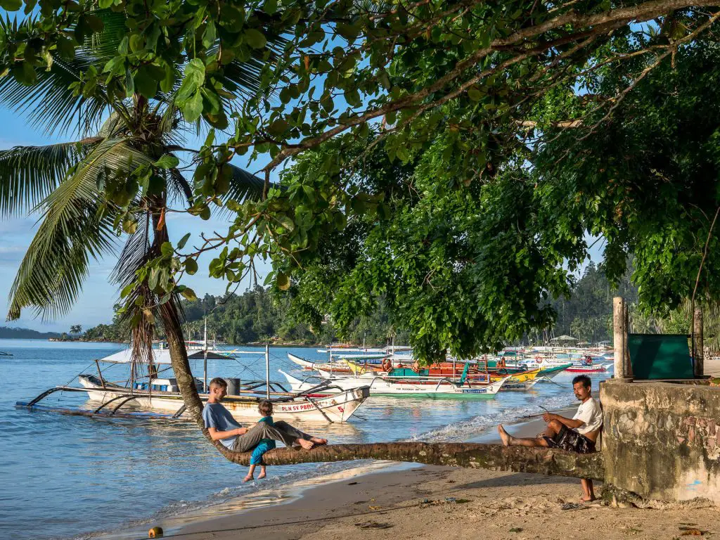 25 destinations où observer des animaux France Etranger