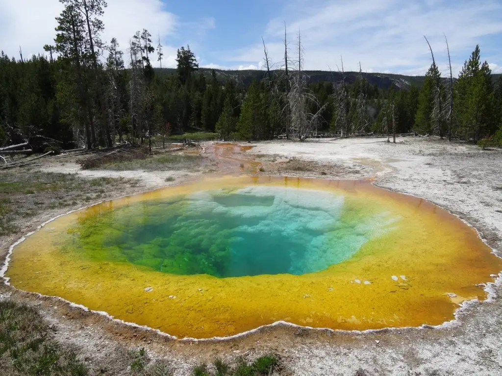 Road trip Etats Unis en camping car Yellowstone 6 mois aux États Unis en camping car | VOYAGES ET ENFANTS