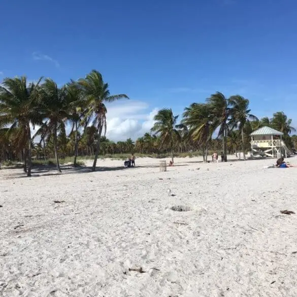 10 jours en Floride en février