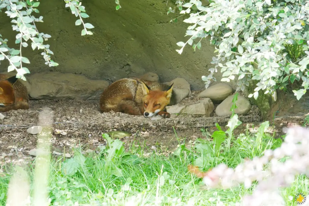 Visite du Parc du Petit Prince