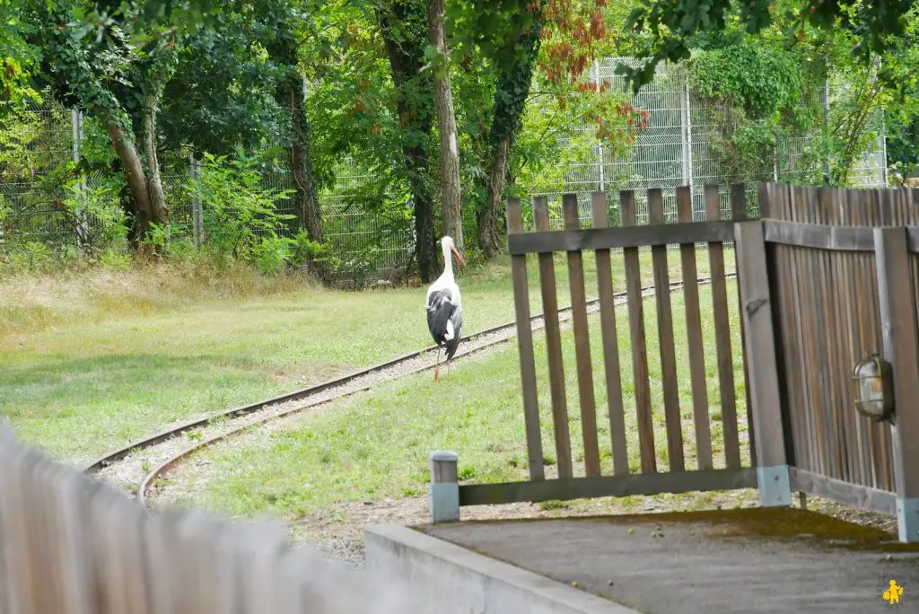 Visite du Parc du Petit Prince