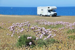 Camping-car / Van en famille