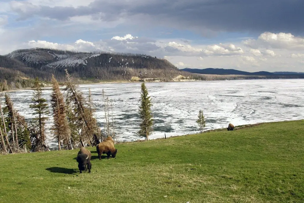 Destinations féériques Noel Etats Unis en hiver en famille