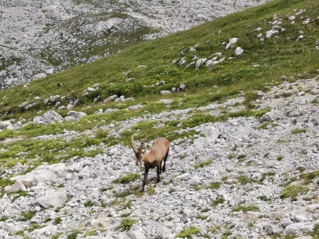 Vacances été dans le Vercors en famille VOYAGES ET ENFANTS