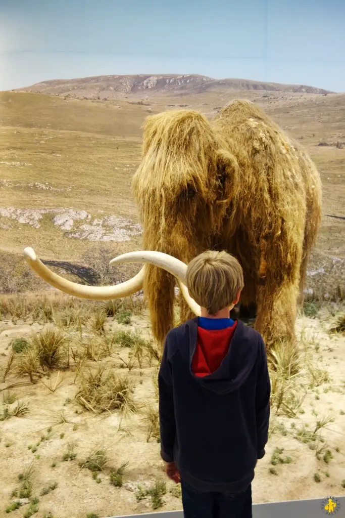 Road trip en Ardèche van ou 4X4 en famille ou pas