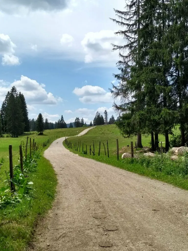 Grand Tour du Jura en famille avec ado | VOYAGES ET ENFANTS