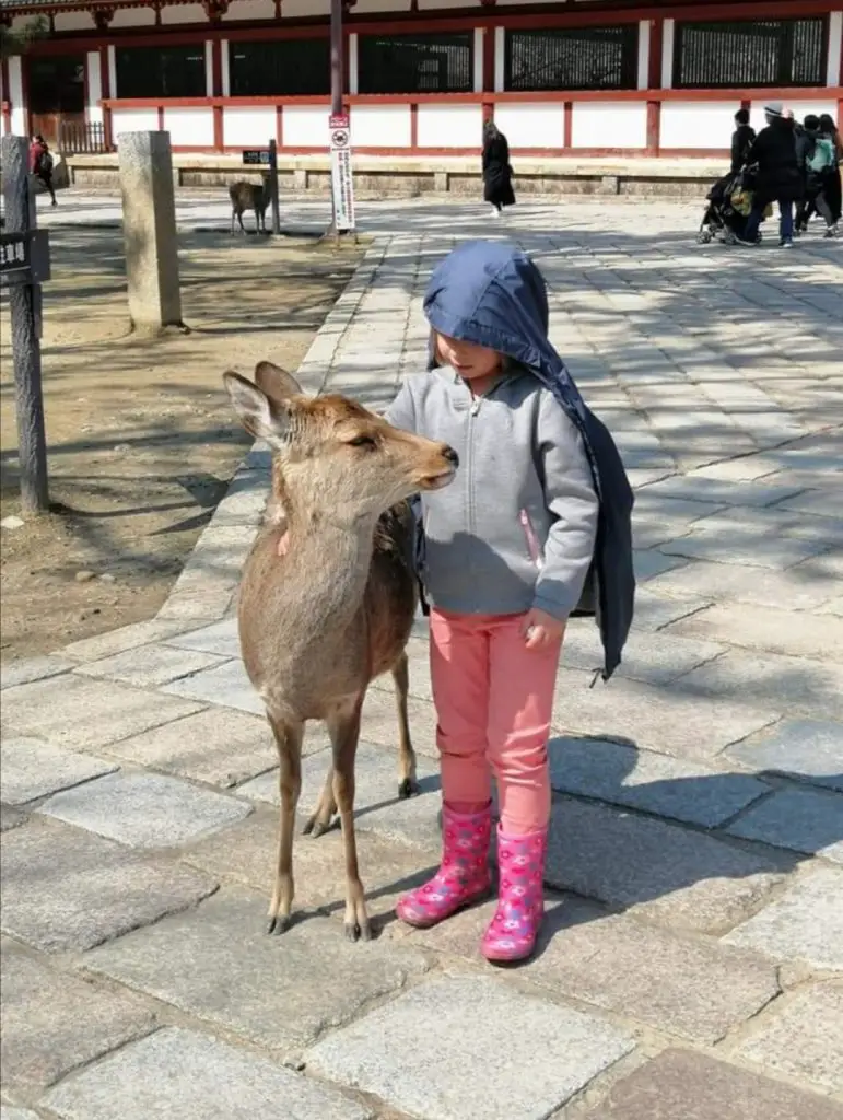 visite Nara en famille Nara en famille Visite activités | Blog VOYAGES ET ENFANTS