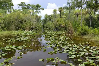 Que faire en Floride activités famille originales secrètes