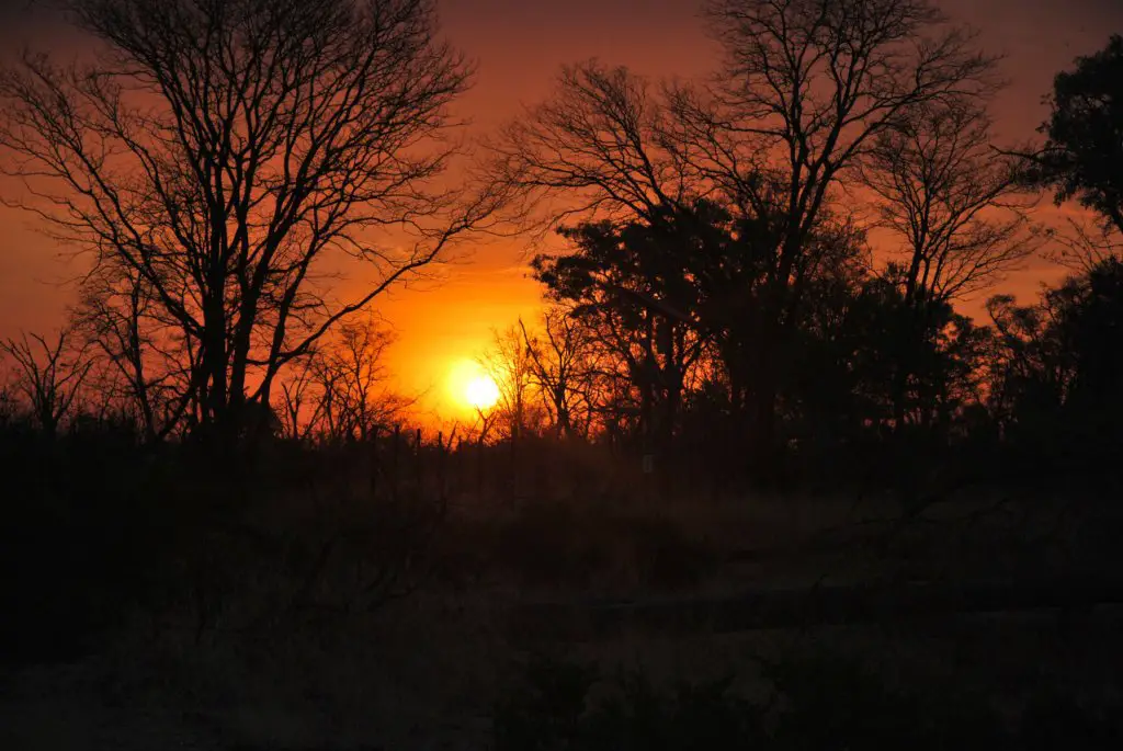 voyage Botswana en famille Road trip safari Bostwana en famille VOYAGES ET ENFANTS