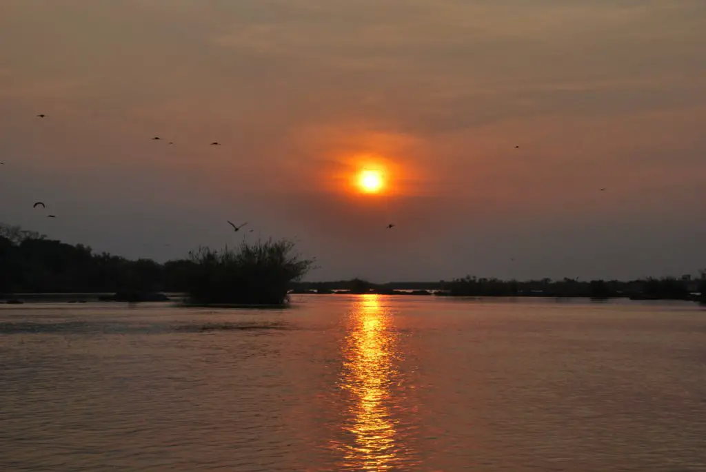 voyage Botswana en famille Road trip safari Bostwana en famille VOYAGES ET ENFANTS