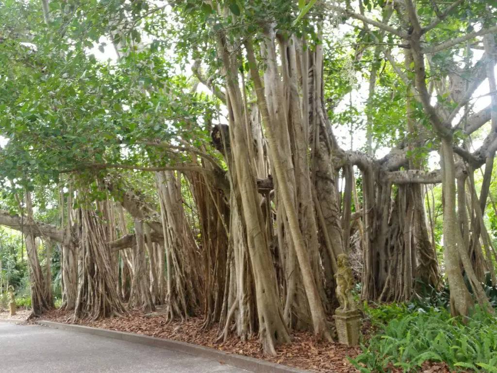 Que faire en Floride activités famille originales secrètes