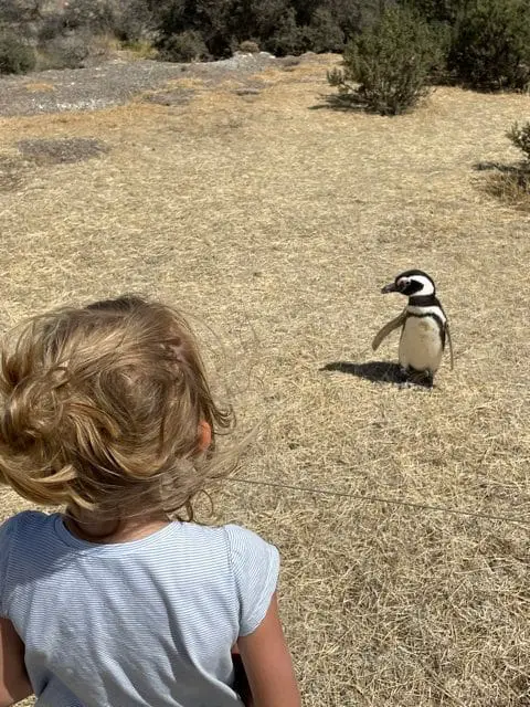 LArgentine en sac à dos en famille en 5 semaines