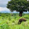 Voyage 15 jours sur Sri Lanka en famille Road trip désert de Monégros en 4x4 tente de toit Espagne