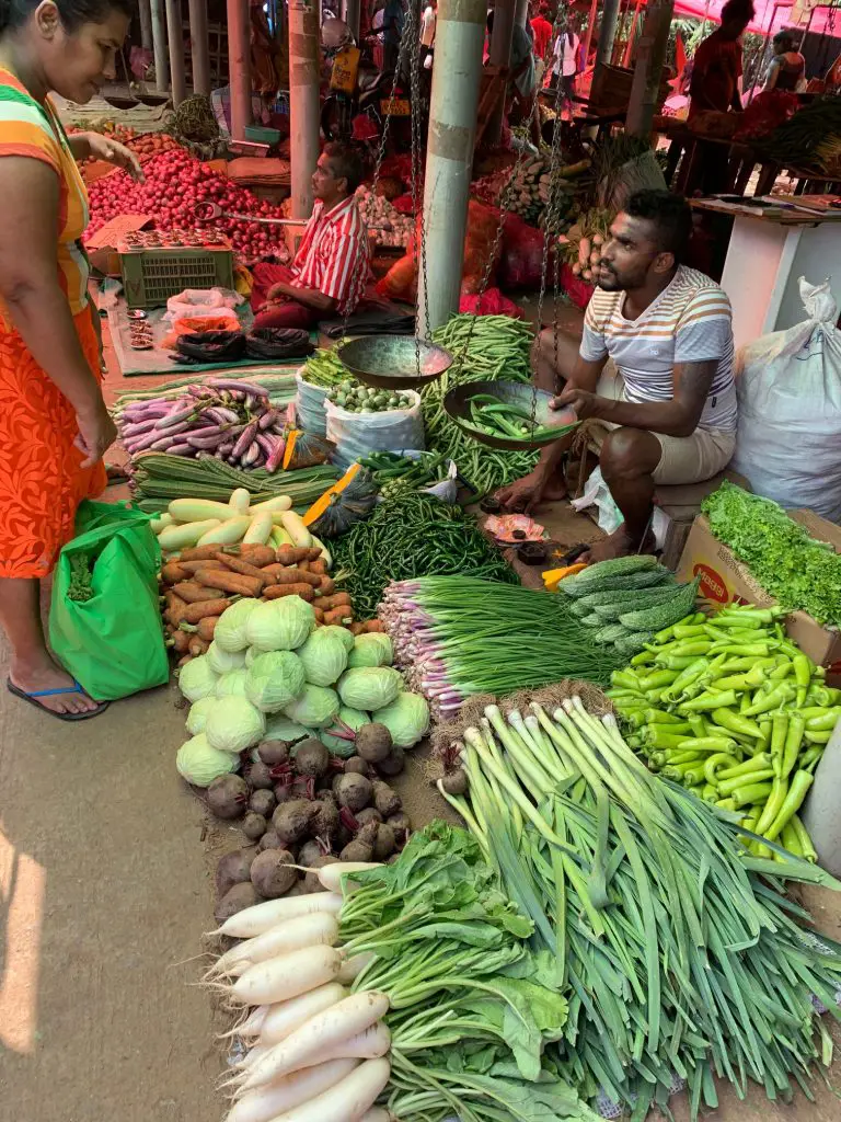 Sud du Sri Lanka en décembre