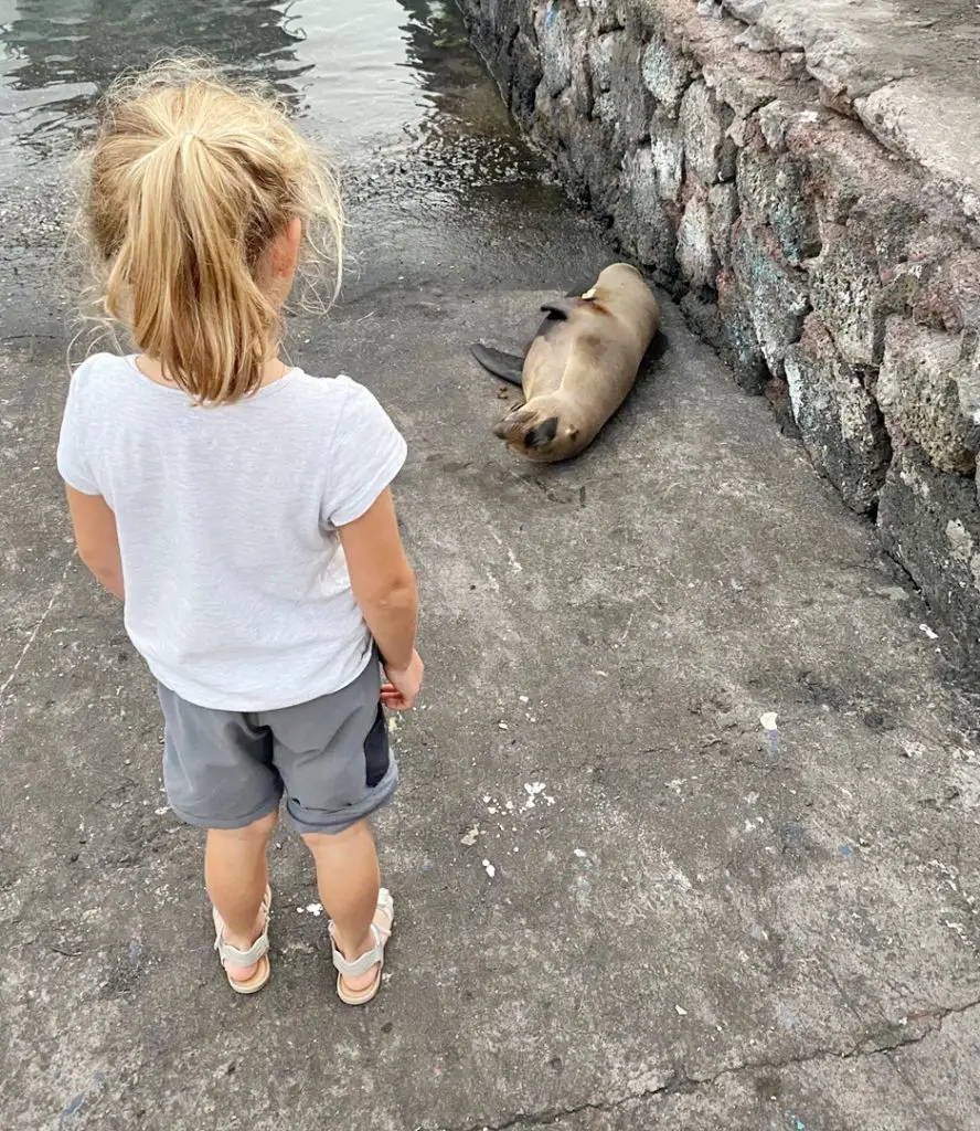 Séjour aux Galapagos en famille | Blog VOYAGES ET ENFANTS