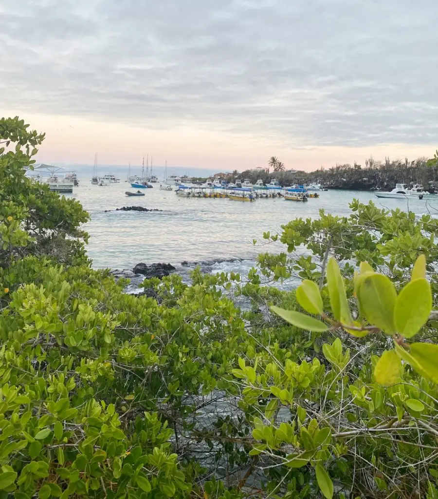 Séjour aux Galapagos en famille | Blog VOYAGES ET ENFANTS