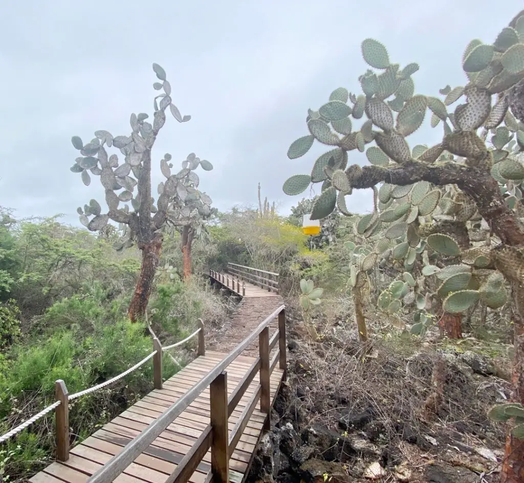 Visiter les galapagos en famille randonnée Séjour aux Galapagos en famille | Blog VOYAGES ET ENFANTS