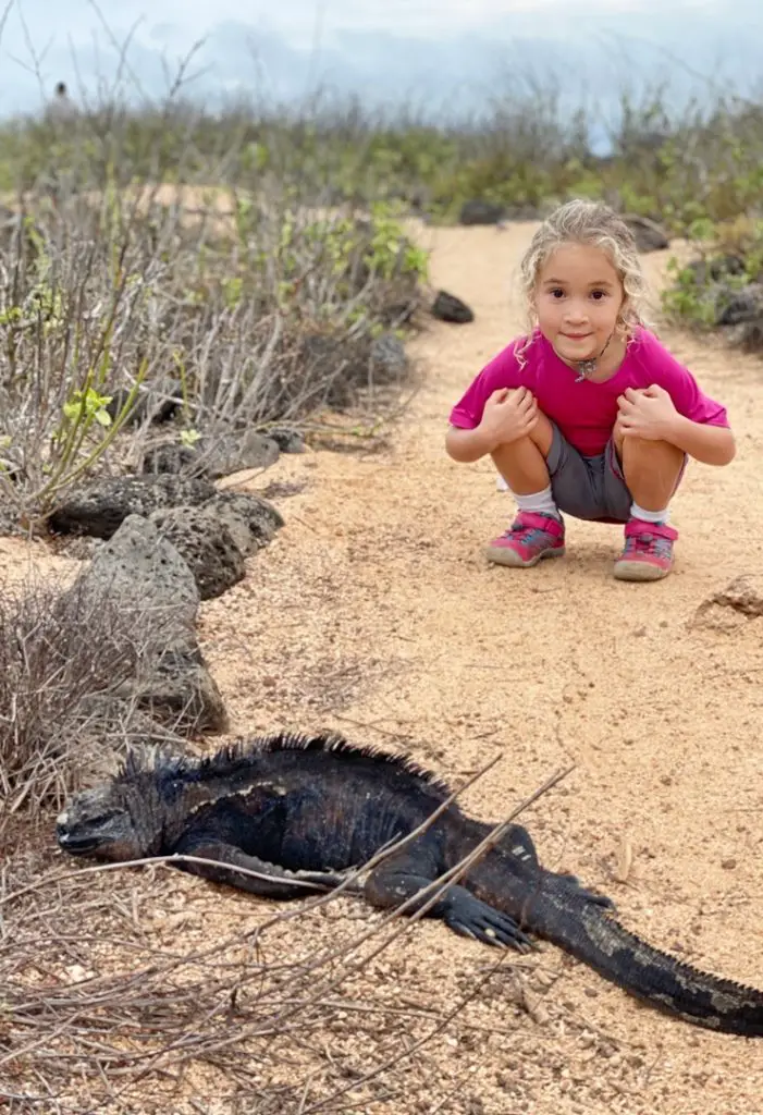 Sejour Galapagos avec enfant iguane Séjour aux Galapagos en famille | Blog VOYAGES ET ENFANTS