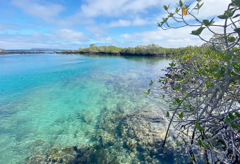 galapagos en famille plage Séjour aux Galapagos en famille | Blog VOYAGES ET ENFANTS