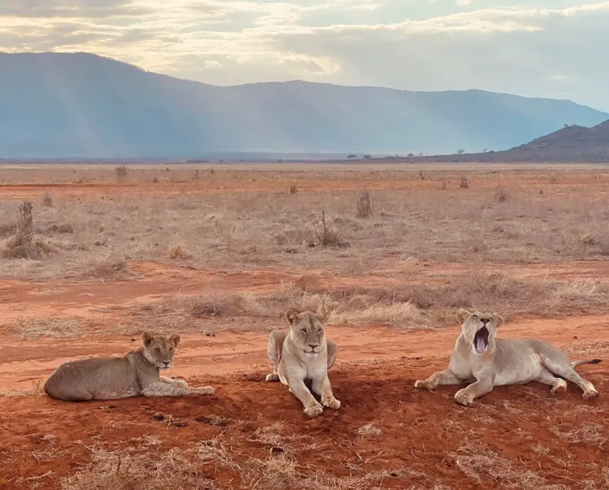 Road trip Kenya en famille Voyage 3 semaines au Kenya en famille | VOYAGES ET ENFANTS