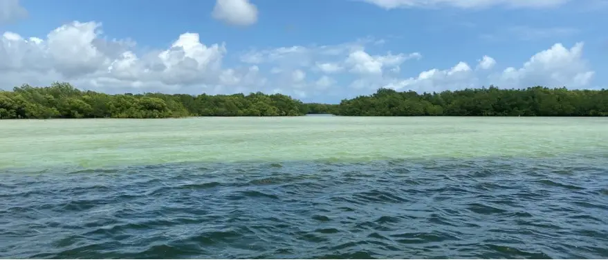 Plage du Kenya en famille Voyage 3 semaines au Kenya en famille | VOYAGES ET ENFANTS