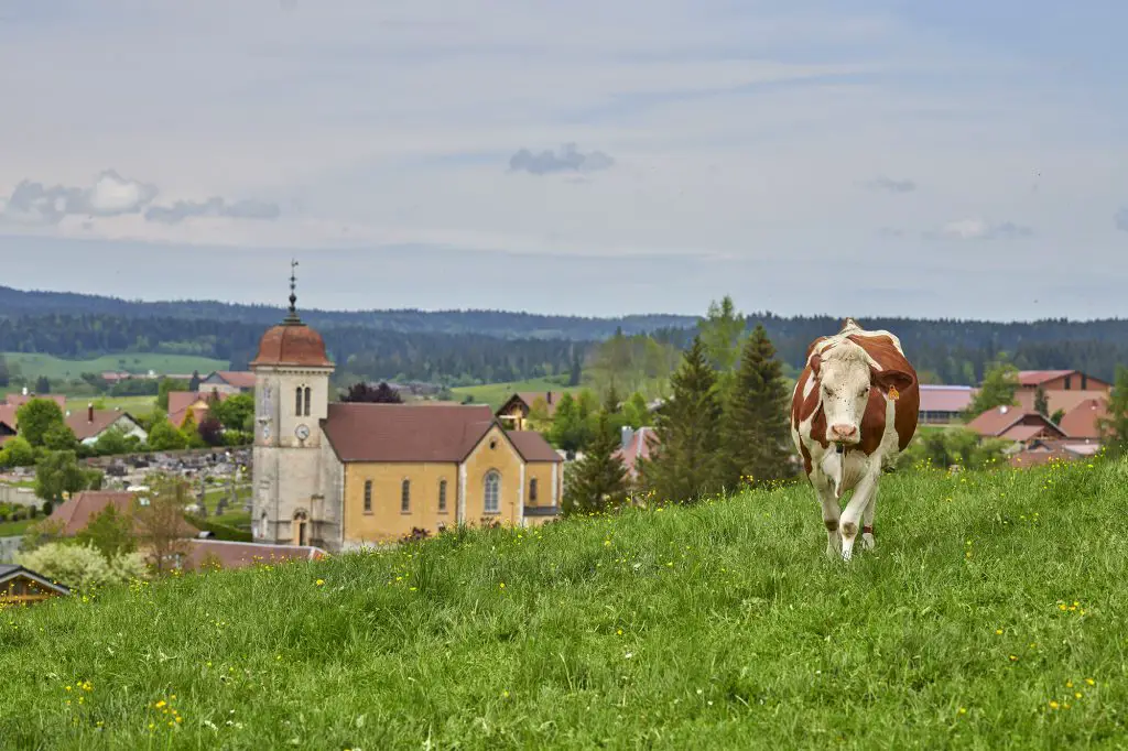 Activité Haut Doubs insolite et rando 14 activités secrètes et gourmandes entre Jura et Haut Doubs