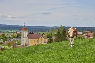 Activité Haut Doubs insolite et rando