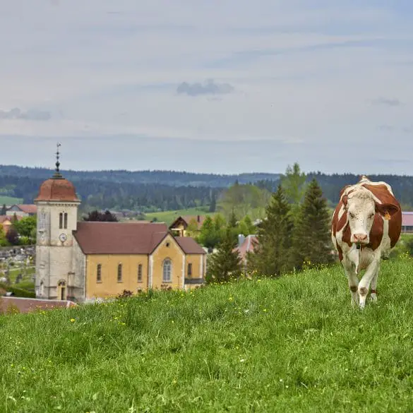 Activité Haut Doubs insolite et rando