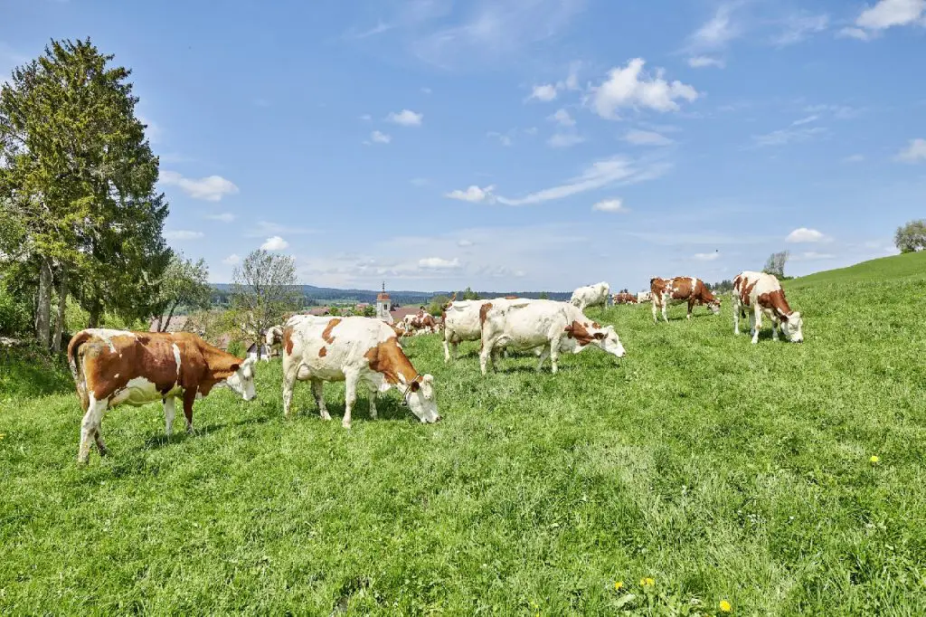 14 activités secrètes et gourmandes entre Jura et Haut Doubs