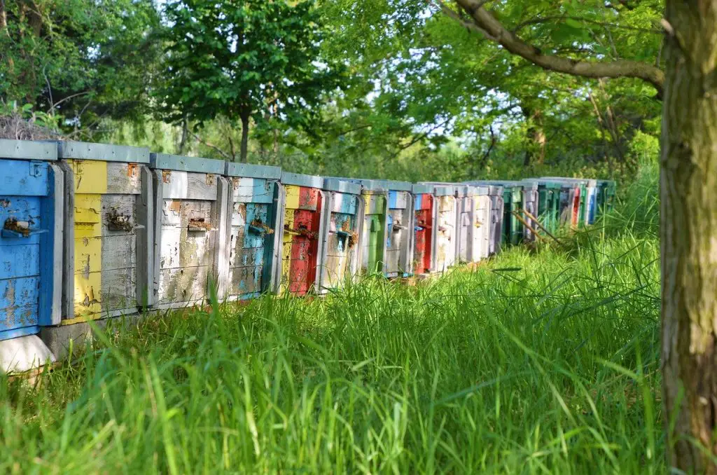 Activités secrètes dans le Haut Doubs en famille et nord Jura