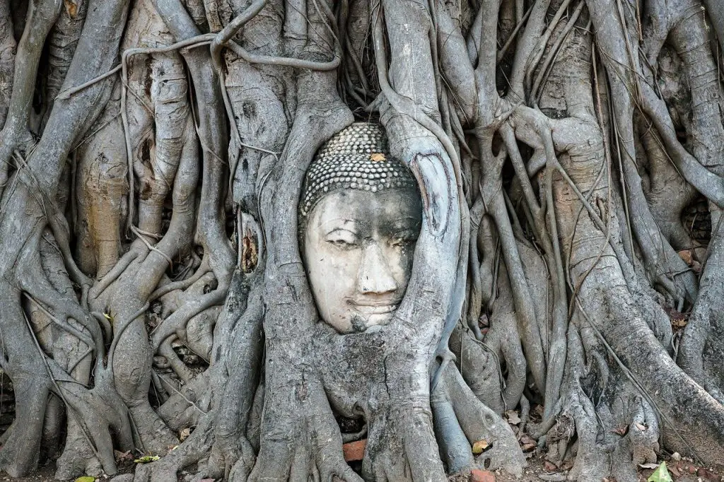 Ayutthaya en famille Ayutthaya en famille