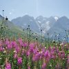 Vacances été hautes Alpes 1 semaine Envoyer des cartes postales avec Mypostcard test