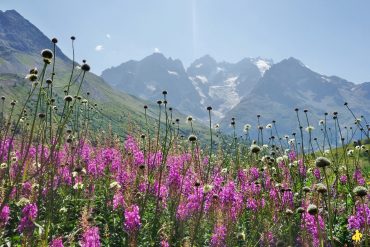 Vacances été hautes Alpes 1 semaine