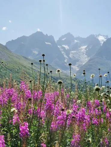 Vacances été hautes Alpes 1 semaine