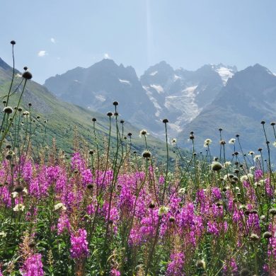 Vacances été hautes Alpes 1 semaine