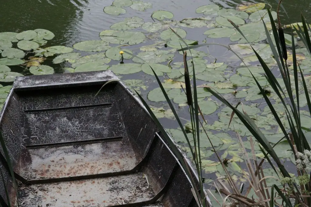 Que faire en Charente Maritime en famille Voyages Enfants