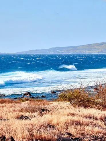 La Réunion en famille Pointe au sel