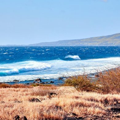 La Réunion en famille Pointe au sel