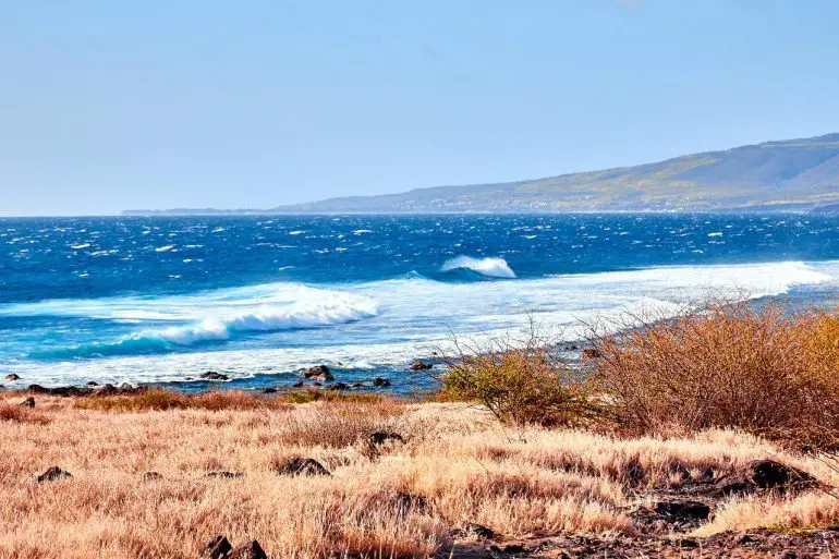 La Réunion en famille Pointe au sel