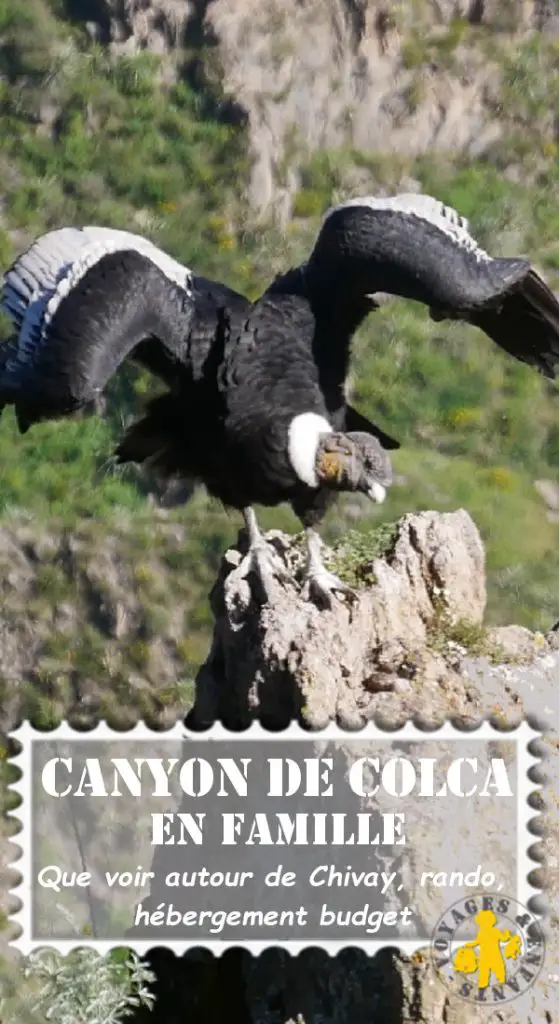 Canyon de Colca Visite et activités en famille ou pas | Blog VOYAGES ET ENFANTS