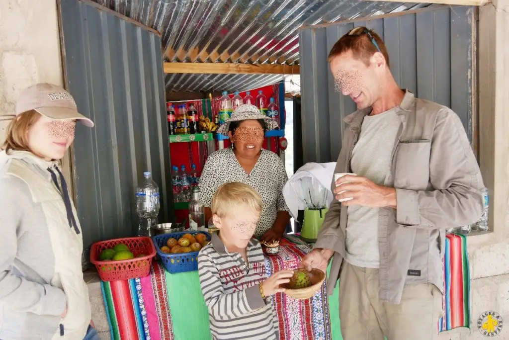 Canyon de Colca Visite et activités en famille ou pas | Blog VOYAGES ET ENFANTS