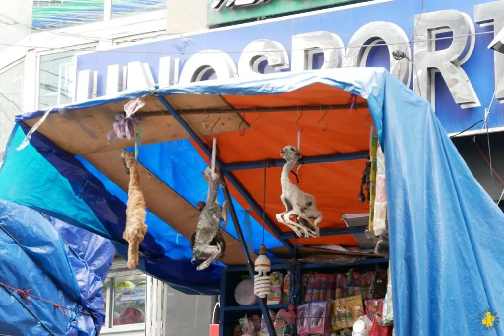 Visiter La Paz en famille merché aux sorcières Visiter La Paz plus haute capitale| Blog VOYAGES ET ENFANTS