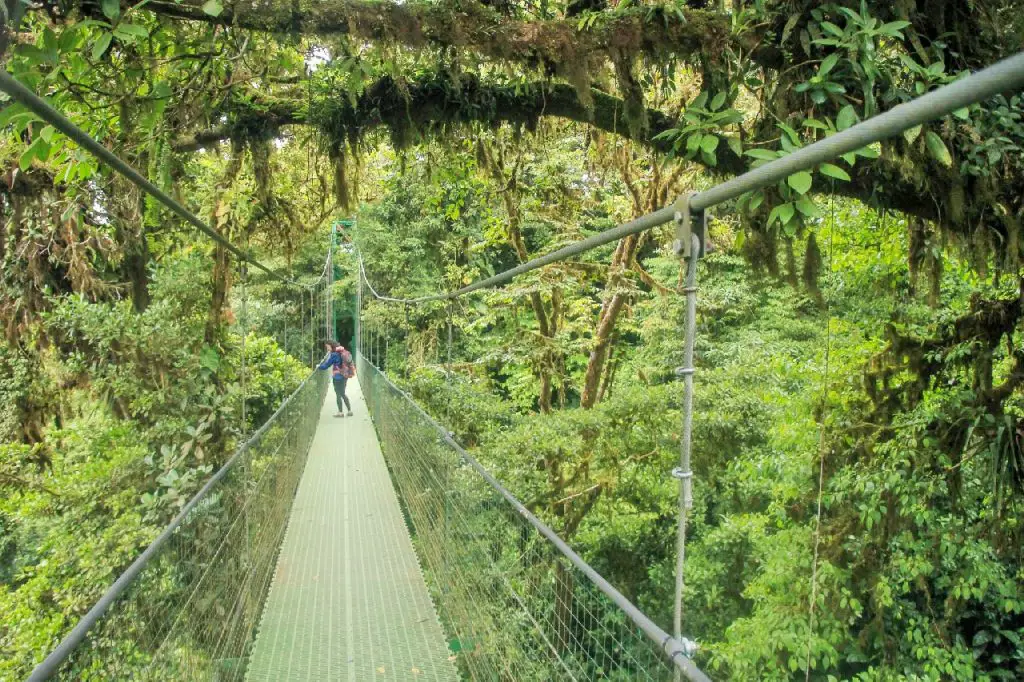 Printemps au Costa Rica en 3 semaines | VOYAGES ET ENFANTS