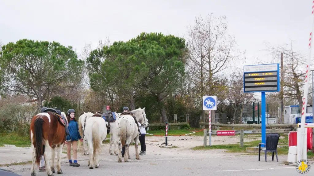 Camargue en camping car en famille Blog VOYAGES ET ENFANTS