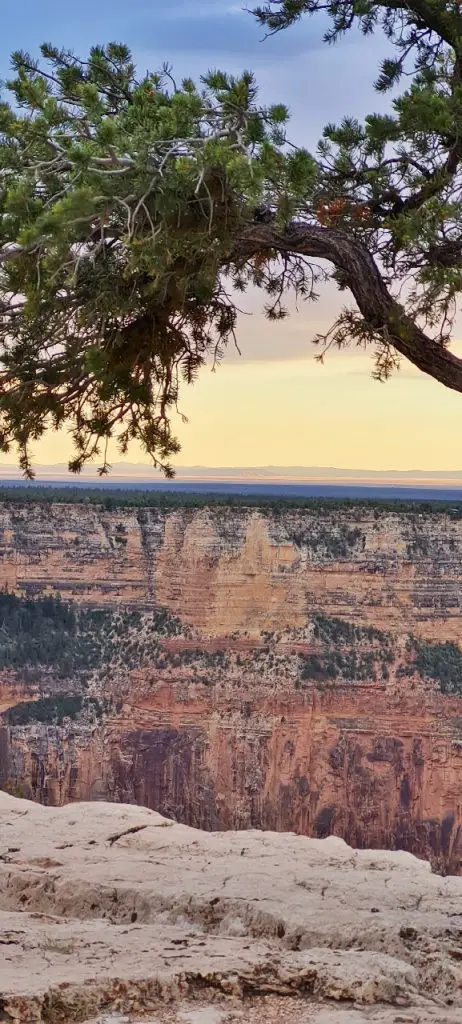 Parc National Grand Canyon Quel parc en famille Parc Nationaux Ouest Américain lequel voir en famille