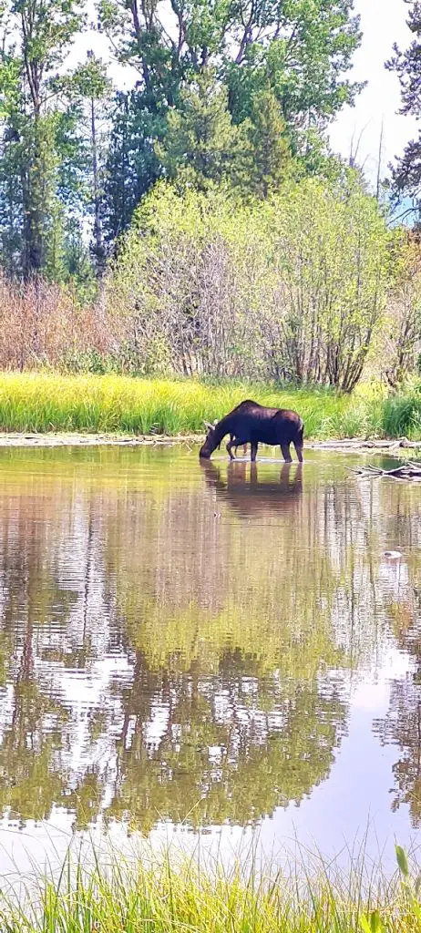 Parc Nationaux Ouest Américain lequel voir en famille