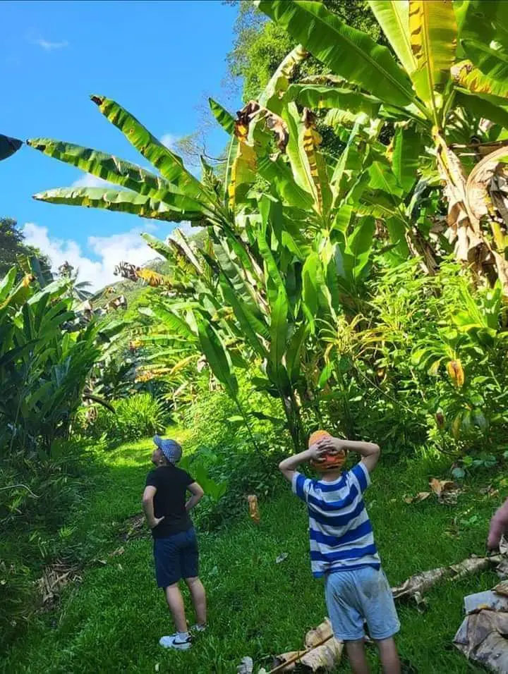 Polynésie française en famille 3 semaines à Tahiti et Moorea | Blog VOYAGES ET ENFANTS