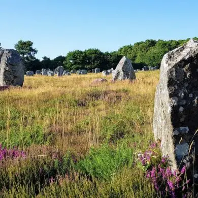 site prehistorique Carnac en famille